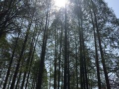 -御花园·粤菜·海鲜火锅(中山公园店)
