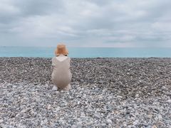 -七星潭蓝天广场