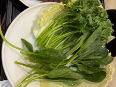 -蝎王府羊蝎子(朝阳北路店)