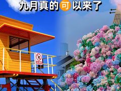 -巧克力渔家.小船海鲜家常菜(万平口店)