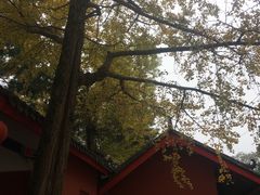 -金堂县云顶石城风景区