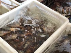 -先锋海鲜市场