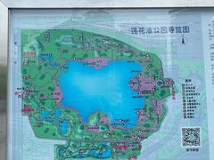 -莲花池公园