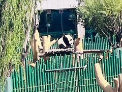 -沈阳森林动物园