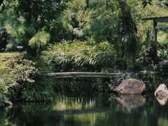 -广州兰圃