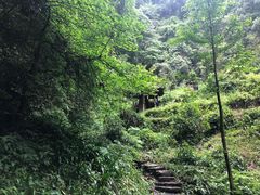 -青城山