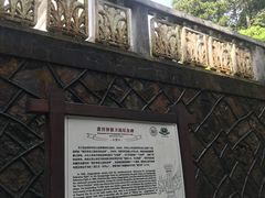 -井冈山风景名胜区-黄洋界