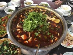特色肥肠鱼花鲢梭边鱼-韩妹鱼庄·泸定老字号(泸定店)