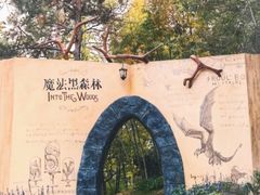 -句容茅山景区