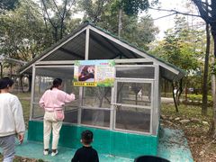 -广东花都香草世界旅游度假区