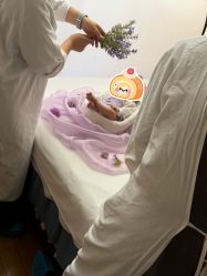 点击看大图 -玛瑞莎孕婴童摄影到家拍
