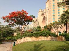 -亚特兰蒂斯水世界冒险乐园