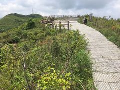 -大围山国家森林公园