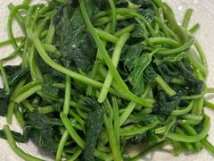 -圆苑(静安寺店)