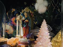 -雪灵魔法世界SHELLY’S TAROT(大良桂畔里店)