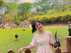 -西双版纳勐泐文化旅游区