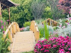 -上海共青森林公园