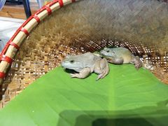 -蓝珊甄选海鲜自助·火锅大排档(近阿那亚店)