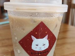 -有猫主题·治愈系猫咖(曾厝垵店)