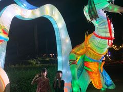 -东南花都花博园