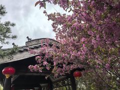 -爱新觉罗皇家博物院