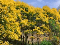 -福清灵石山国家森林公园