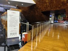 -顺德演艺中心大剧院