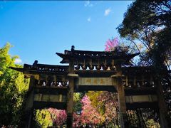 -蝴蝶泉公园