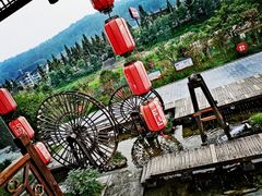 -印象鲵宴·张家界地标美食名片(溪布街店)