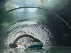 -新加坡水上探险乐园