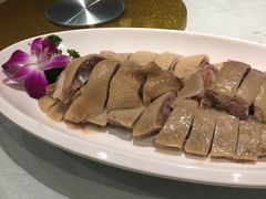-鹅城