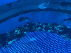 -海合安青岛极地海洋公园