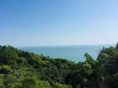 -广东惠东海龟国家级自然保护区