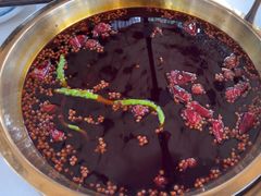 -二荆条·城市森林火锅旗舰店