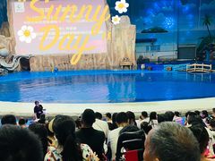 -华夏文旅海洋公园