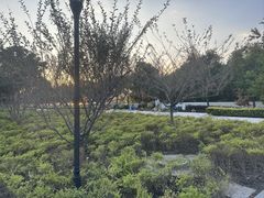 -上海山野camping·户外天幕烧烤·团建拓展营地