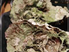 -烧蠔帮·生蚝海鲜牌档(观海店)