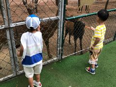 -大连铭湖国际观光牧场