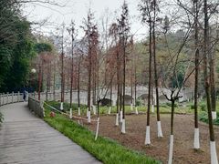 -重庆彩云湖湿地公园