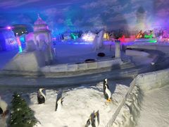 -世界之窗阿尔卑斯冰雪世界