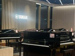 -知音艺术教育培训·钢琴培训·音乐培训(河西金鹰世界校区)