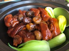 板栗猪手-大连君悦酒店·星海湾壹号Dalian·Dalian(星海广场店)