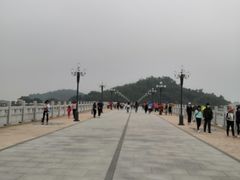 -野狸岛