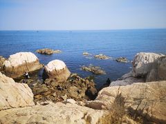 -养马岛旅游度假区