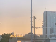 -金鼎轩(安贞里店)