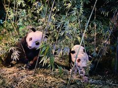 -天津自然博物馆