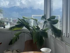 -唐咖精品咖啡(大理古城手冲店)