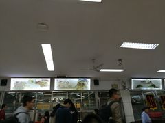 -北京大学-学五食堂
