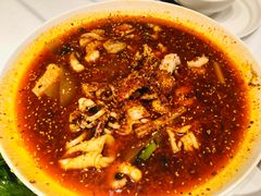 香辣馋嘴花枝凤尾虾-眉州东坡·熊猫主题餐厅(枫蓝店)