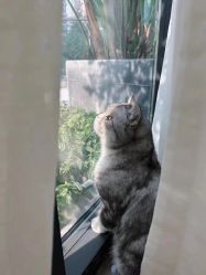 -倩极·精研痘敏肌管理
